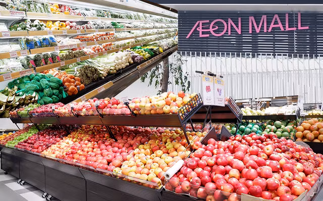 Promueven productos agrícolas vietnamitas en sistemas de distribución extranjeros ảnh 1