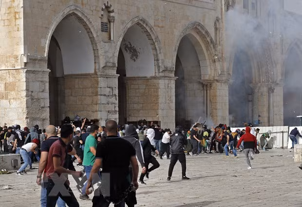 Vietnam enaltece esfuerzos para promover proceso de paz en Oriente Medio ảnh 1