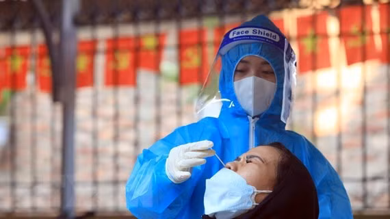 Cifras actualizadas de casos del coronavirus en Vietnam ảnh 1