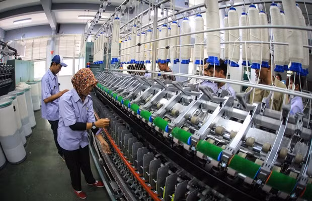 Empresarios jóvenes de Vietnam e Indonesia comparten experiencias para recuperación económica ảnh 1