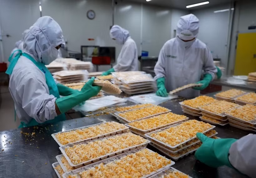 Procesamiento profundo aumenta competitividad de camarón vietnamita ảnh 2