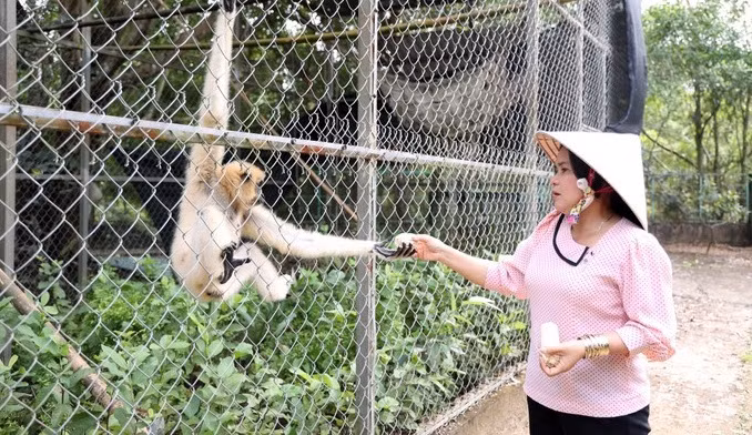 Desarrollan productos para atraer turistas al Parque Nacional U Minh Thuong ảnh 2