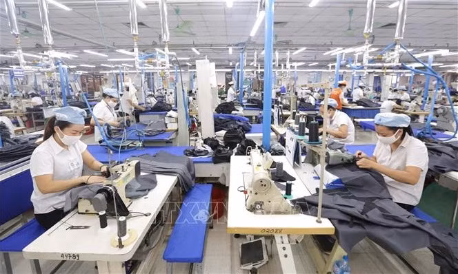 Hacia la ecologización de la industria textil de Vietnam ảnh 1 Hacia la ecologización de la industria textil de Vietnam ảnh 1