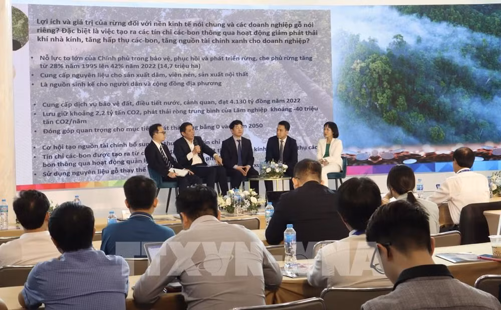 Aumentan ingresos de industria maderera de Vietnam a partir de créditos de carbono ảnh 1
