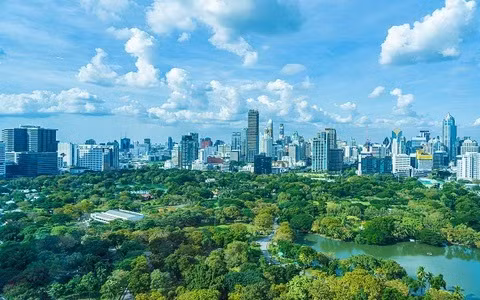 Aumentan ingresos de industria maderera de Vietnam a partir de créditos de carbono ảnh 2
