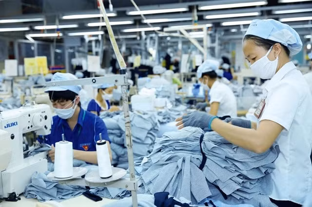 Prevén recuperación del mercado laboral de Vietnam en 2024 ảnh 2