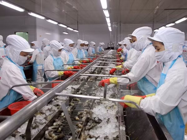 Aumentan exportaciones de productos agroforestales y acuáticos de Vietnam ảnh 1