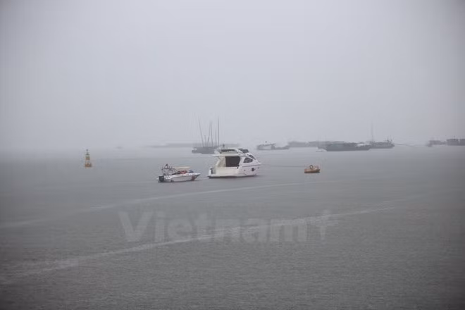Desarrolla provincia vietnamita astilleros para la pesca en alta mar ảnh 1