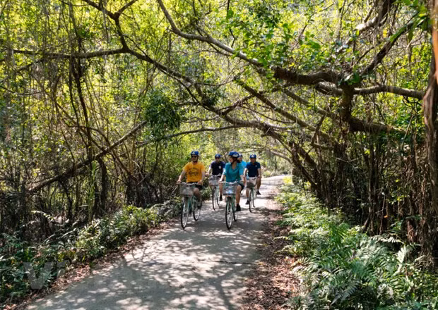 Turismo de Vietnam, listo para la "reapertura del cielo” ảnh 3