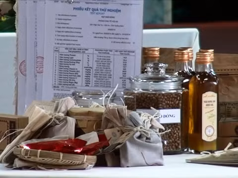 Hoi An diseña marca turística con productos derivados de planta local ảnh 2