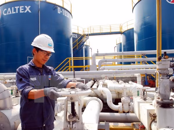 Vietnam trabaja para mejorar posición en el Sudeste Asiático hacia 2030 ảnh 1