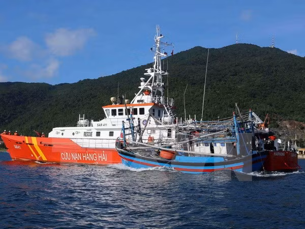 Vietnam investiga asalto contra pesquero nacional ảnh 1