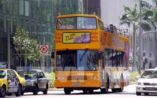 Refuerzan en Singapur regulaciones sobre vehículos de movilidad personal ảnh 1