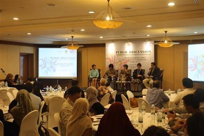 Destacan esfuerzos de ASEAN para alcanzar Objetivos del Milenio ảnh 1