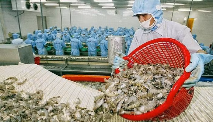 Especialistas pronostican panorama positivo para exportaciones acuáticas de Vietnam a China ảnh 1