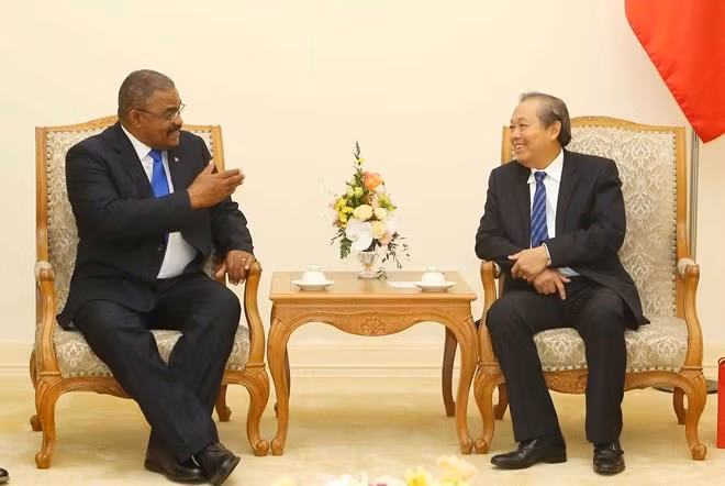 Fortalecen Vietnam y Cuba lazos de hermandad ảnh 1