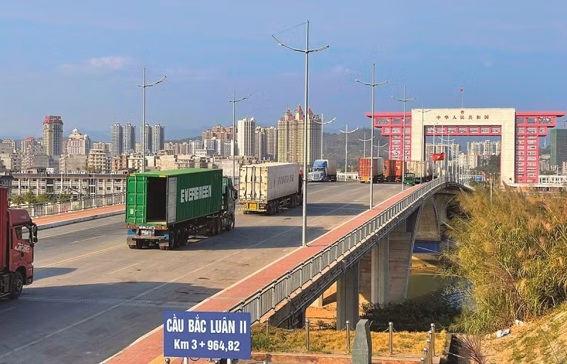 Aumenta número de empresas con acceso a trámites aduaneros en Quang Ninh ảnh 1