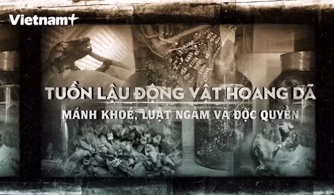 Impedir contrabando de animales salvajes, una batalla actual de Vietnam ảnh 2