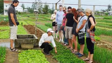 Aldea hortícola Tra Que entre los destinos atractivos de Vietnam ảnh 1