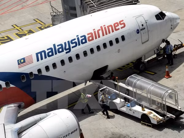 Familiares de víctimas del MH370 demandan a la aerolínea y Malasia ảnh 1