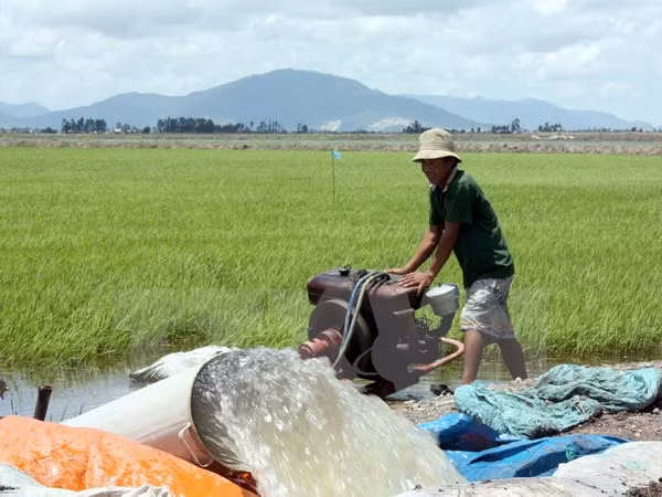 Sufre Tra Vinh escasez de agua por salinización y calor ảnh 1