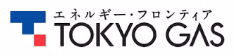 Tokyo Gas estudia para invertir en provincia vietnamita de Ha Nam ảnh 1