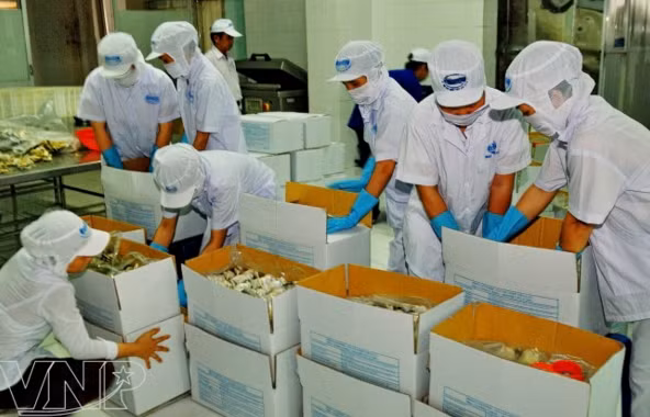 Industria de procesamiento y envasado de Vietnam registra crecimiento estable ảnh 1