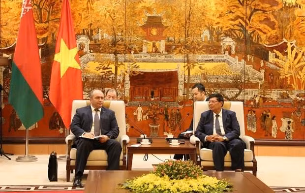 Aspira Belarús a cooperar con Vietnam en la industria automovilística ảnh 1