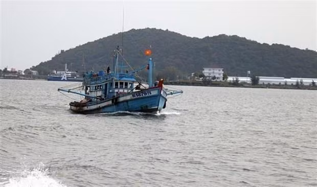 Vietnam en buen camino para eliminar tarjeta amarilla de la UE ảnh 1
