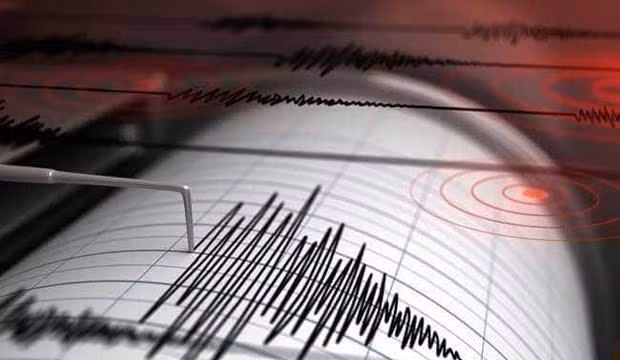 Sacude terremoto de magnitud 5,0 en la escala de Richter a Indonesia ảnh 1