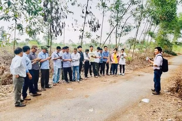 Ayuda Estados Unidos a provincia vietnamita en manejo forestal ảnh 1