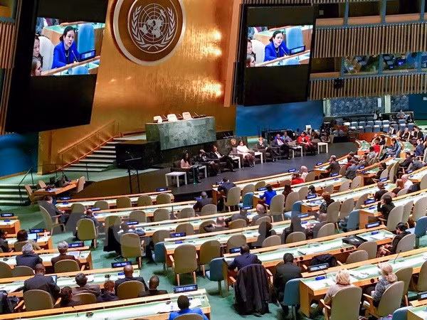 Vietnam trabajará con PNUD para hacer reales objetivos de desarrollo sostenible ảnh 1