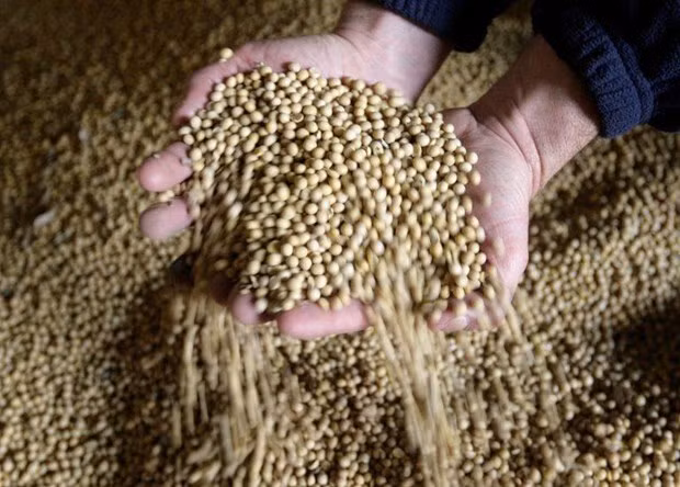 Países de Mercosur aspiran a convertirse en principales proveedores de alimentos de ASEAN ảnh 1