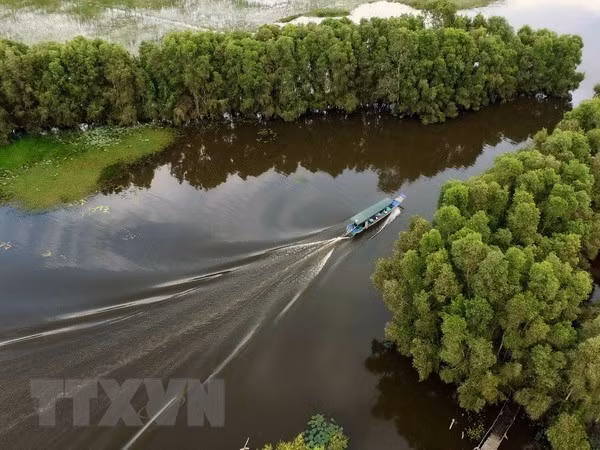 Promueven en Vietnam el turismo verde ảnh 1 Promueven en Vietnam el turismo verde ảnh 1