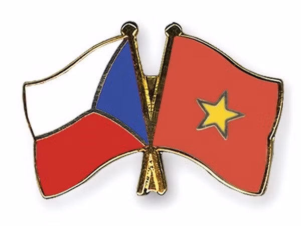 Vietnam y República Checa realizan consulta política a nivel viceministerial ảnh 1