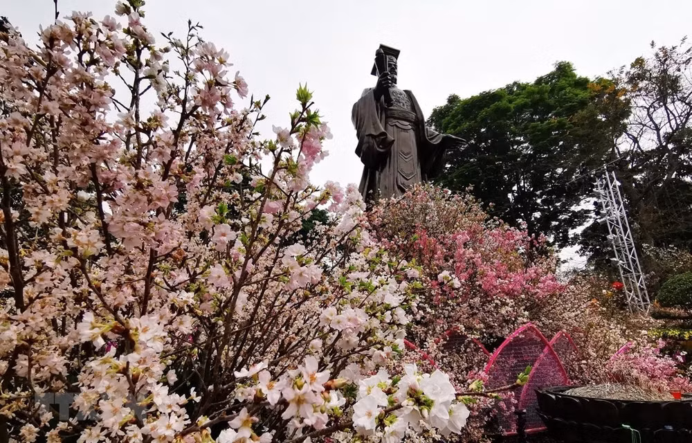 Celebran en Hanoi Festival de flor de cerezo Japón - Vietnam ảnh 1