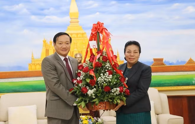 Saluda Vietnam aniversario de la fundación del Partido Revolucionario Popular de Laos ảnh 1