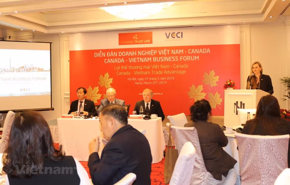 Busca ciudad vietnamita de Da Nang atraer más inversiones de Canadá ảnh 1