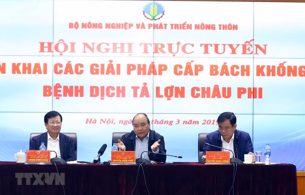 Urge premier vietnamita a desplegar medidas drásticas contra la peste porcina africana ảnh 1