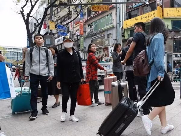 Feria Turística de Vietnam incluye por primera promoción de viajes al exterior ảnh 1