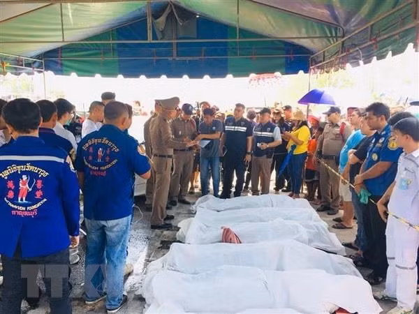 Cancillería de Vietnam pide verificar identidad de víctimas en accidente de tránsito en Tailandia ảnh 1