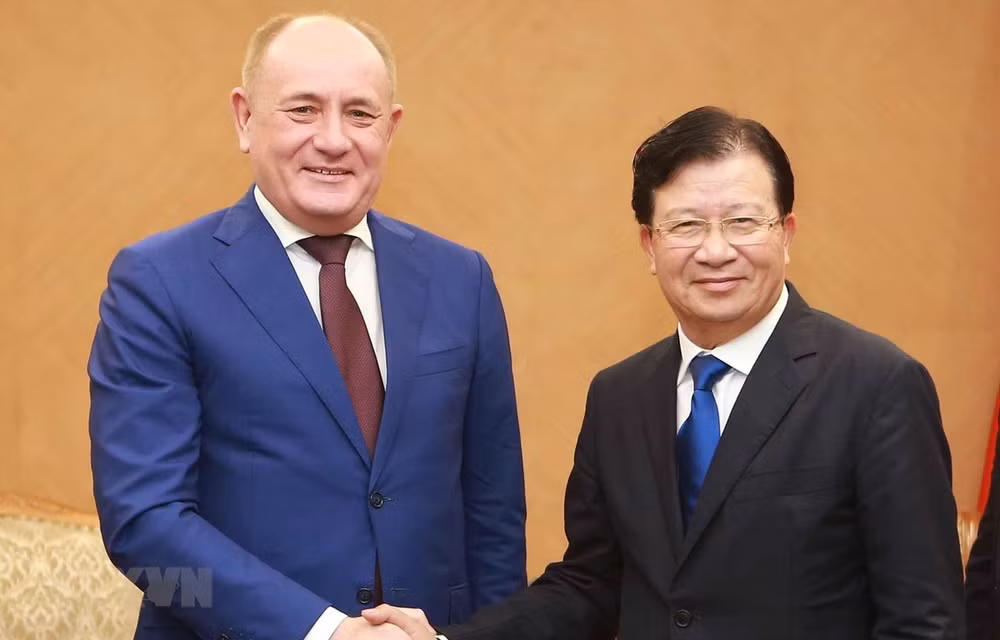 Exhorta Vietnam a empresas rusas a ampliar sus inversiones en la nación indochina ảnh 1