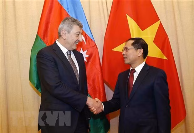 Destacan a Vietnam como importante socio de Azerbaiyán en el Sudeste Asiático ảnh 1