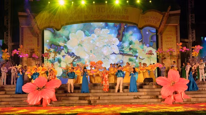 Celebran en Vietnam Festival de Cerezo y Albaricoque Amarillo ảnh 1