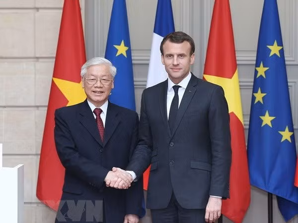 Destacan parlamentarios franceses avances en las relaciones entre su país y Vietnam ảnh 1