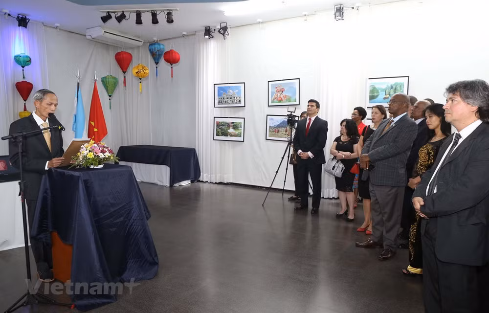 Vietnam y Argentina fomentan cooperación bilateral ảnh 1