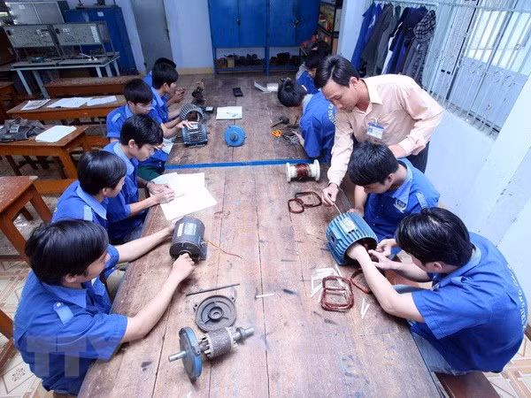 Discuten en Vietnam métodos de desarrollo de habilidades profesionales ảnh 1