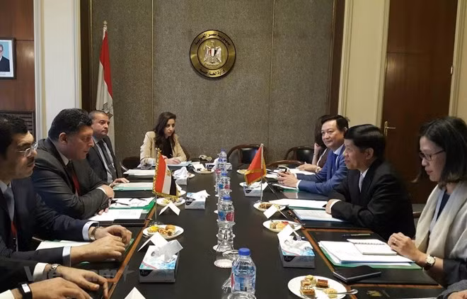 Considera Egipto a Vietnam un socio importante en su política hacia Asia ảnh 1