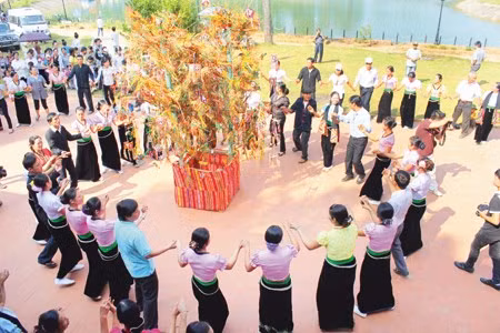 Presentará Vietnam expedientes a la UNESCO para reconocimiento de Patrimonios Culturales Intangibles ảnh 1