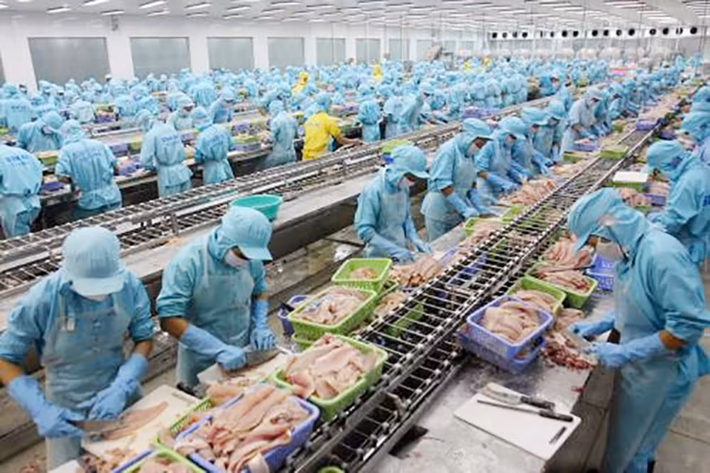 Aumenta valor de exportaciones de productos acuícolas de Vietnam en primer bimestre de 2019 ảnh 1